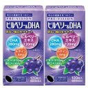 湧永 プレビジョン ビルベリー&DHA 120粒×2個セット「宅配便送料無料(B)」