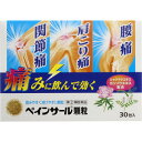 【第(2)類医薬品】AJD ノーエチ ペインサール顆粒 30包「宅配便送料無料(B)」