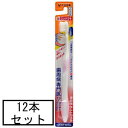 大正 歯科用デントウェル超コンパクト やわらかめ×12本セット「メール便送料無料(A)」