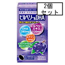 楽天GENKI-e shop湧永 プレビジョン ビルベリー＆DHA 120粒×2個セット「宅配便送料無料（B）」