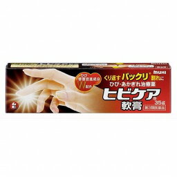 【第3類医薬品】池田模範堂 ヒビケア軟膏a 35g「メール便送料無料(B)」