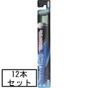 AJD DentPurity 超極細毛 ふつう×12本セット「メール便送料無料(A)」