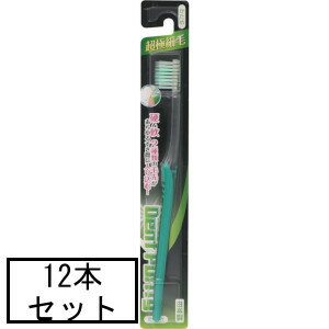 AJD DentPurity 超極細毛 かため×12本セット「メール便送料無料(A)」