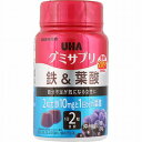 UHA グミサプリ 鉄&葉酸 30日分「宅配便送料無料(B)」