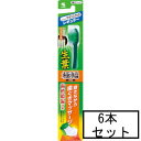 小林製薬 生葉極幅ブラシ やわらかめレギュラー×6本セット「メール便送料無料(A)」