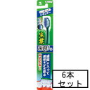 小林製薬 生葉歯間に入るブラシ ふつうレギュラー×6本セット「メール便送料無料(A)」