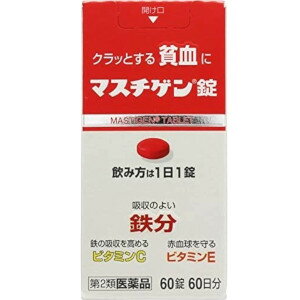 【第2類医薬品】日本臓器製薬 マスチゲン錠 60錠60日分