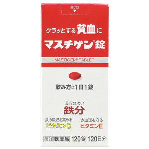【第2類医薬品】日本臓器製薬 マスチゲン錠 120錠120日分