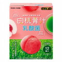 日本薬健 白桃青汁×乳酸菌 12袋