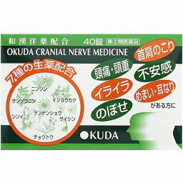 【第2類医薬品】奥田製薬 奥田脳神経薬 40錠「メール便送料無料(A)」