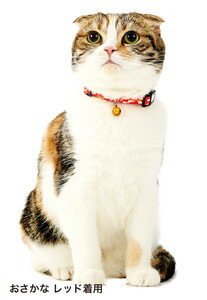 ペティオ Anycat カラー チェック ピンク