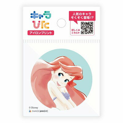 イメージマジック ディズニープリンセス アイロンプリントシート ミニサイズ WD-C-PR1-mi5「メール便送料無料(A)」 イメージマジック ディズニープリンセス アイロンプリントシート ミニサイズ WD-C-PR1-mi5「メール便送料無料(A)」