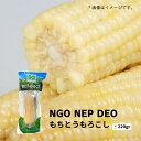 糯 トウモロコシ 260g ( 1本 ) NGO NEP HSC 260g(4)