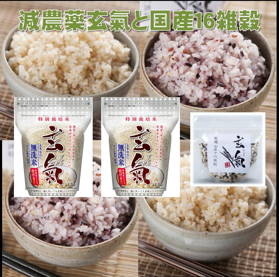【特別栽培の玄氣】発芽玄米1.5kg×2袋と国産16雑穀米300gの送料無料セット(沖縄を除く:沖縄1000円加算)
