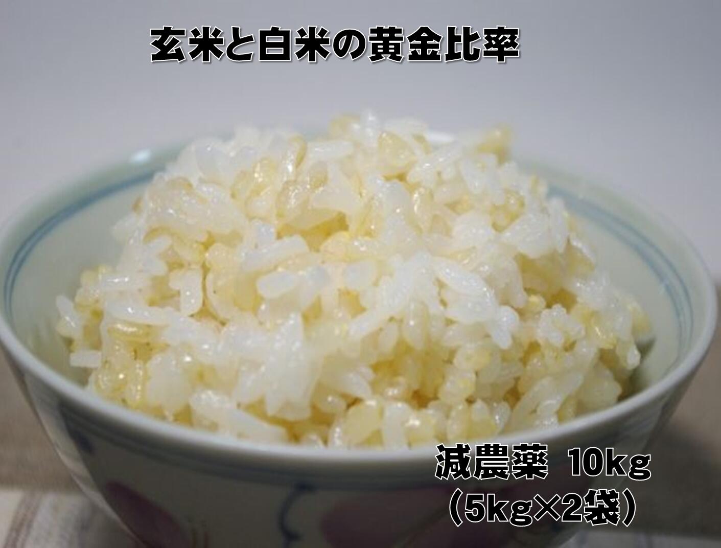 【新米/令和7年産】【特別栽培】黄金比率ヘルシー米10kg(5kg×2袋)【玄氣/発芽玄米30%配合の無洗米】【発芽玄米/白米/無洗米】送料無料(沖縄を除く:沖...