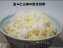 【特別栽培】黄金比率ヘルシー米5kg【玄氣/発芽玄米30%配合の無洗米】【発芽玄米/白米/無洗米】送料無料(沖縄を除く:沖縄1000円加算)