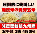 白米モード楽々炊飯！圧倒的に美味しい減農薬の玄氣1.5kg×3袋（4.5kg真空パック）【減農薬 玄米 発芽玄米 無洗米】佐賀県知事認証特別栽培米