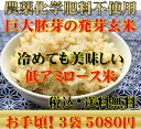 【究極の玄氣】1.5kg×3袋（4.5kg 真空パック）【農薬・化学肥料不使用栽培】数量限定・巨大胚芽の発芽玄米白米モード炊ける無洗米の発芽玄米送料無料（沖縄県は1000円加算） 2