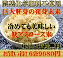 【究極の玄氣】1.5kg×6袋（9kg 真空パック）【農薬・化学肥料不使用栽培】数量限定・巨大胚芽の発芽玄米【白米モード炊ける無洗米の発芽玄米】送料無料（沖縄県は1000円加算） 2