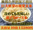 【究極の玄氣】1.5kg×10袋（15kg 真空パック）【農薬・化学肥料不使用栽培】数量限定・巨大胚芽の発芽玄米白米モード炊ける無洗米の発芽玄米 2