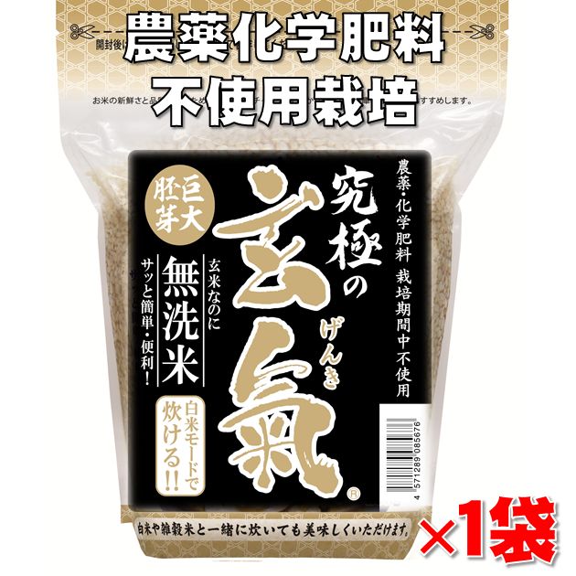 【究極の玄氣】1.5kg 真空パック【農薬・化学肥料不使用栽培】数量限定・巨大胚芽の発芽玄米【白米モード炊ける無洗米の発芽玄米】送料無料 沖縄を除く沖縄1000円加算 