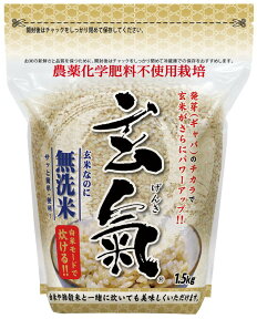 【農薬・化学肥料不使用栽培の玄氣】1.5kg（真空パック）【長野県産】白米モード炊ける無洗米の発芽玄米無農薬（栽培期間中：農薬・化学肥料不使用）栽培送料無料（沖縄を除く：沖縄1000円加算）