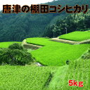 【令和5年産／棚田米】佐賀県唐津産コシヒカリ5kg（棚田米）無洗米・特別栽培・送料無料（沖縄を除く：沖縄1000円加算） 2