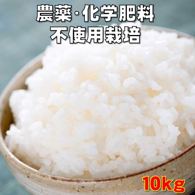 無農薬・静岡県産コシヒカリ10kg（5kg×2袋）（砂川農園で農薬・化学肥料不使用栽培）（無洗米にも対応できます)送料無料（北海道・沖縄を除く）