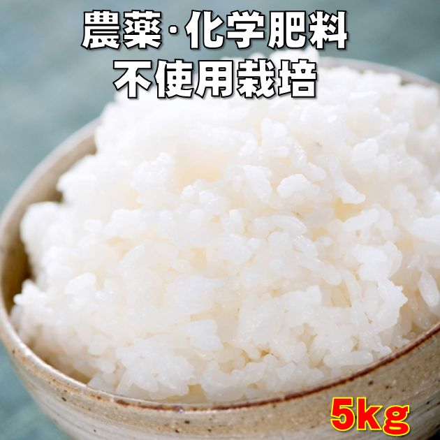 無農薬（農薬・化学肥料不使用栽培）静岡県産コシヒカリ5kg（無洗米にも対応できます)...