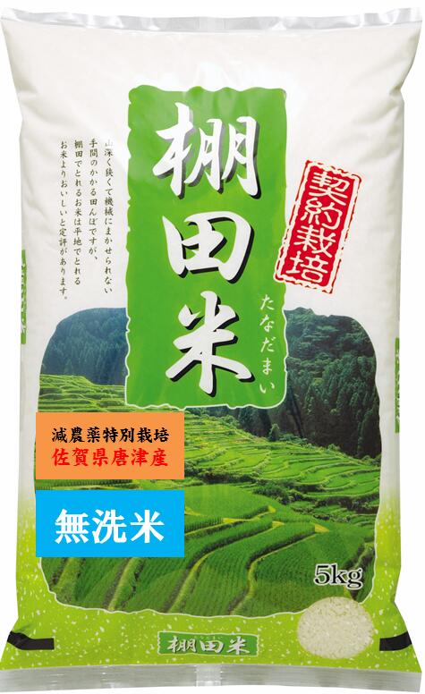 令和元年産【棚田米】九州・佐賀県唐津産コシヒカリ5kg（棚田米）無洗米・減農薬減化学...