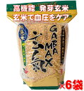 ギャバ発芽玄米180食分／GABA MAX玄氣1.5kg×6袋／血圧をケアする機能性表示食品：届出番号D443／国内最大量のギャバ含有／白米モードで炊ける無洗米（ギャバマックスげんき）【農薬・化学肥料不使用栽培】送料無料