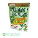イストサン胃腸内服液 (30ml×2本入)【第3類医薬品】食欲不振、胃部・腹部膨満感、消化不良、胃弱、食べ過ぎ、飲み過ぎ、胸やけ