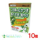 イストサン胃腸内服液 (30ml×2本入)×10個【第3類医薬品】食欲不振、胃部・腹部膨満感、消化不良、胃弱、食べ過ぎ、飲み過ぎ、胸やけ
