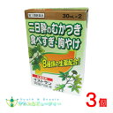 イストサン胃腸内服液 (30ml×2本入)×3個【第3類医薬品】食欲不振、胃部・腹部膨満感、消化不良、胃弱、食べ過ぎ、飲み過ぎ、胸やけ