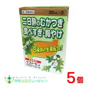 イストサン胃腸内服液 (30ml×2本入)×5個【第3類医薬品】食欲不振、胃部・腹部膨満感、消化不良、胃弱、食べ過ぎ、飲み過ぎ、胸やけ
