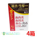薬用はみがき 薬用 渋ケア 100g ×12本常盤薬品 ノエビアグループ トキワ(4)