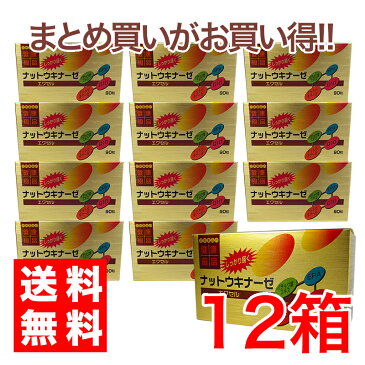 【送料無料】ナットウキナーゼエクセル　12箱納豆菌、ナットウキナーゼ、ネバネバ納豆菌イチョウ葉エキス、EPA配合、納豆菌、ナットウキナーゼ