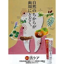 薬用はみがき 薬用 渋ケア 100g ×12本常盤薬品 ノエビアグループ トキワ 2