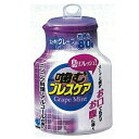 噛むブレスケア ボトル スッキリグレープミント 80粒 小林製薬