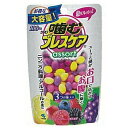 噛むブレスケア パウチ アソート 100粒 小林製薬(4)