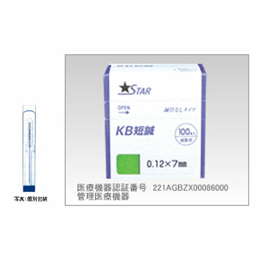 KB短鍼 線径0.14×長さ7mm 100本入 ファロス