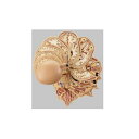 模型Human Model 頭部水平断面模型 高さ34cm×幅46cm...(4)