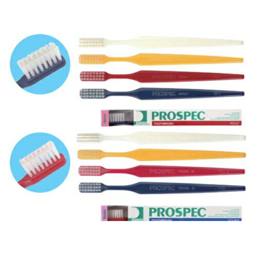 プロスペック アダルト H ハード 4色アソート 20本入(各色5本入) GC ジーシーのサムネイル