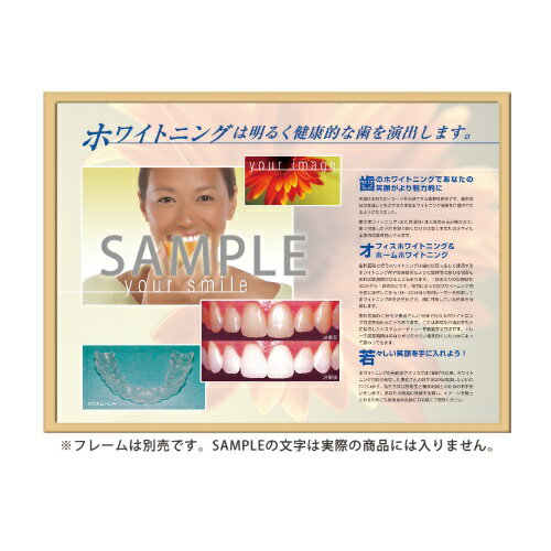 フレームアート ホワイトニング 453×604mm 1枚入 SmartPractice