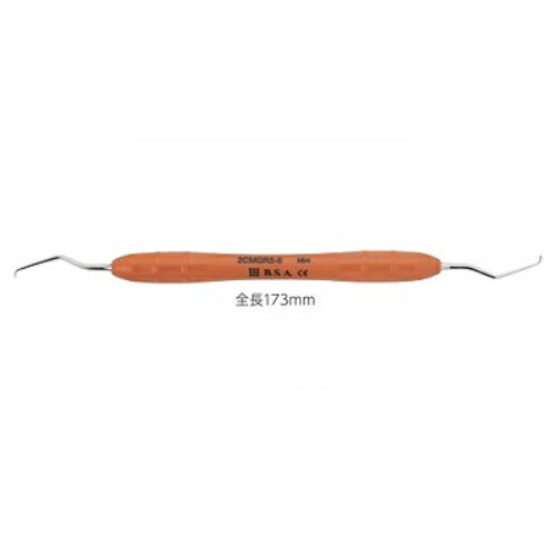 ڰŵ ѥå EPI ߥ˥졼å GR5-6 Ĺ173mm 1 BSA饤