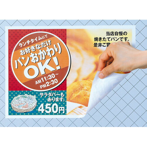 3冊まとめ買い 屋外でも使えるサイン吸着シート レーザープリンタ ツヤ消しフィルム・ホワイト A4 ノーカット 1冊(5シート) 31041 エーワン