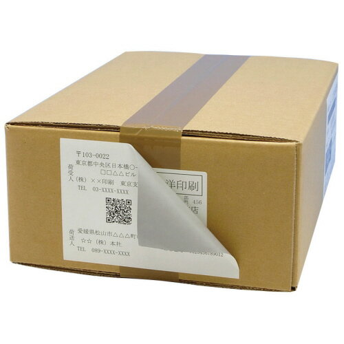 マルチタイプ訂正用ラベル A4 36面 45.7×25.4mm 1箱(500シート:100シート×5冊) CLT-36 東洋印刷