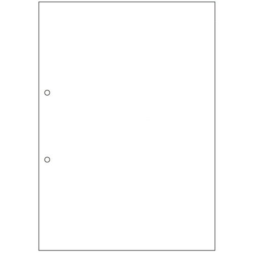 TANOSEE マルチプリンタ帳票(FSC森林認証紙) A4白紙 2穴 1箱(500枚) FSCT2001S 大塚商会