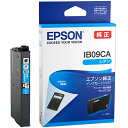 インクカートリッジ シアン IB09CA 1個 IB09CA エプソン