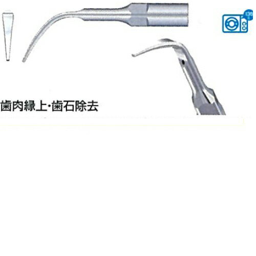 【医療機器】 スケーラーチップ PIEZOチップ EMSタイプ GW4 (EMS・K/E/Pスケーラー用) 1本 ウッドペッ..